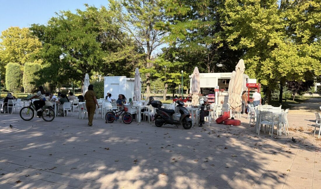 ESKİŞEHİR (AA) – Eskişehir'in Tepebaşı ilçesinde bir parktaki elektrik akımına