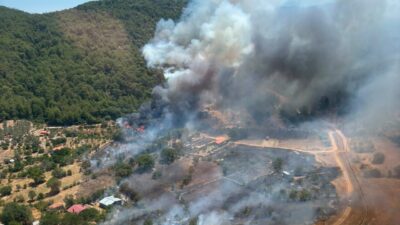 MUĞLA (AA) – Muğla'nın Fethiye ilçesinde ormanlık alanda çıkan yangının