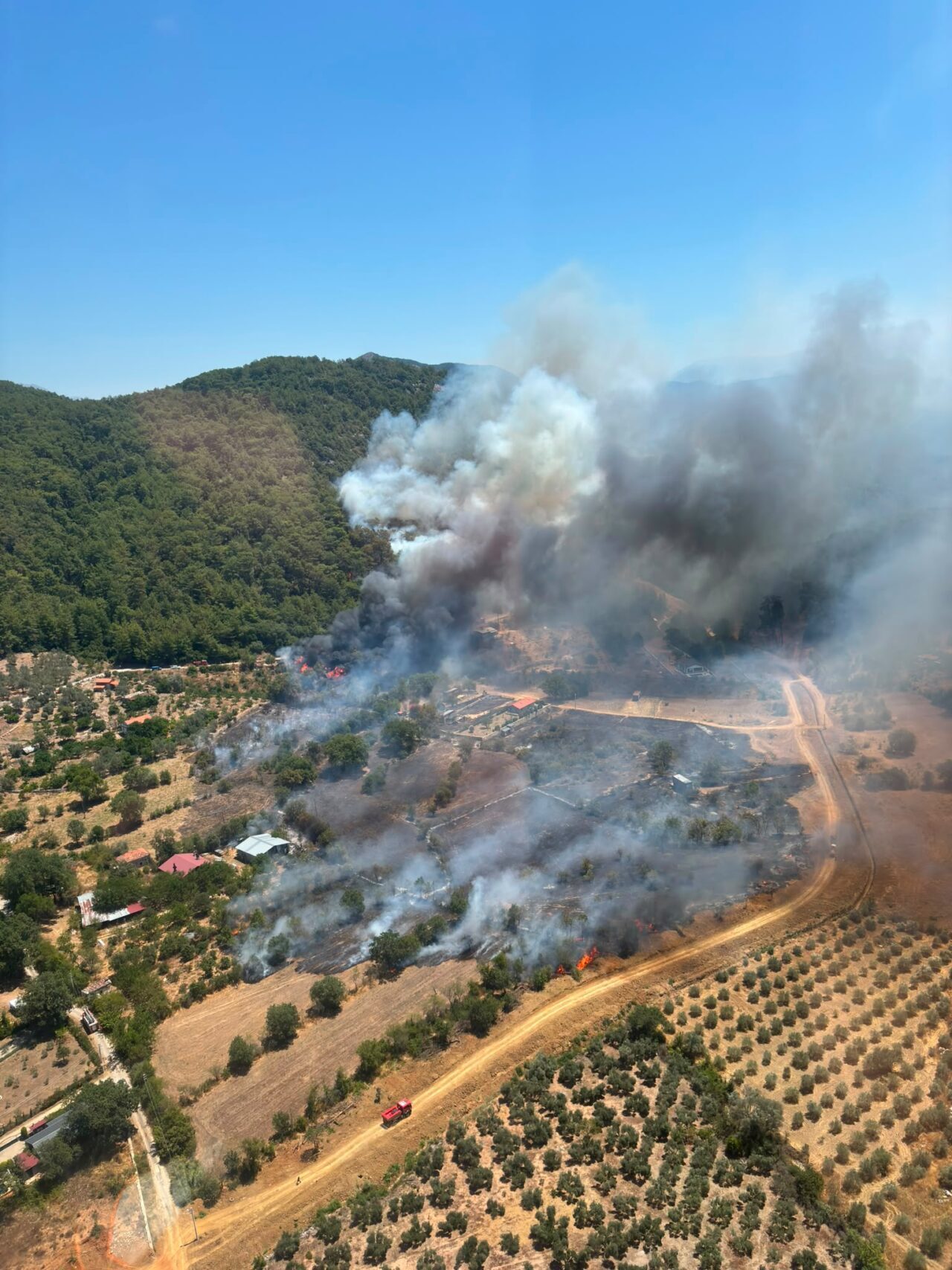 MUĞLA (AA) – Muğla'nın Fethiye ilçesinde ormanlık alanda çıkan yangının
