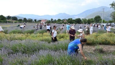 MUĞLA (AA) – Muğla'nın Fethiye ilçesinde görsel şölen sunan mor