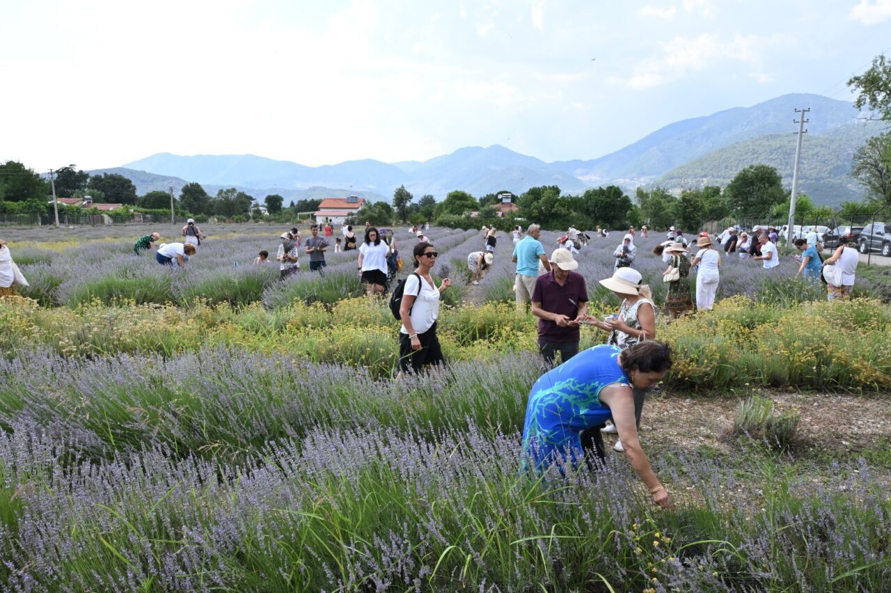 MUĞLA (AA) – Muğla'nın Fethiye ilçesinde görsel şölen sunan mor