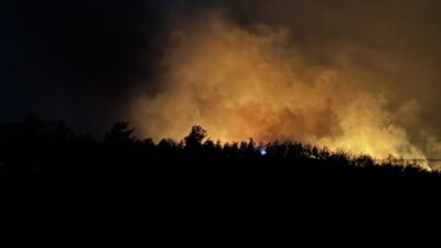 MUĞLA (AA) – Muğla’nın Fethiye ilçesinde çıkan orman yangınına müdahale