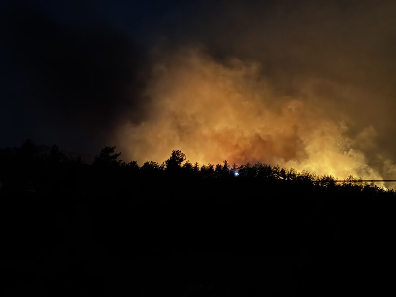 MUĞLA (AA) – Muğla’nın Fethiye ilçesinde çıkan orman yangınına müdahale