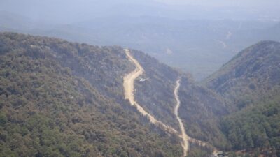 MUĞLA (AA) – Muğla'nın Fethiye ilçesindeki ormanlık alanda dün başlayan