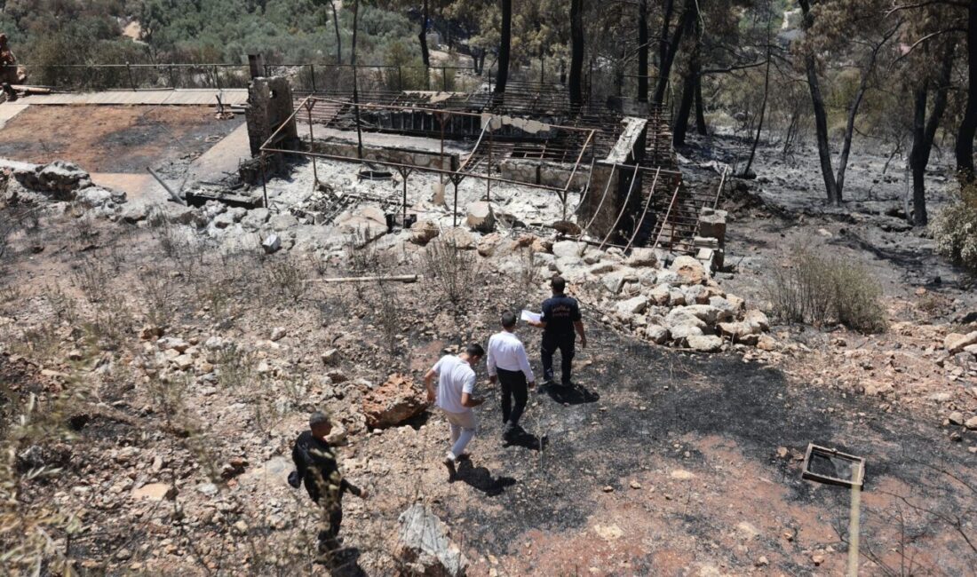 MUĞLA (AA) – Muğla'nın Fethiye ilçesindeki orman yangınından etkilenen alanda