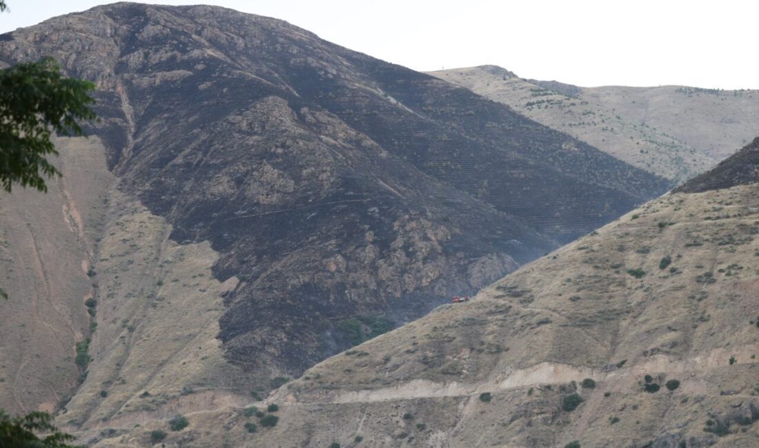- Yaklaşık 9 saatte söndürülen yangında, dağlık arazideki bitki örtüsü