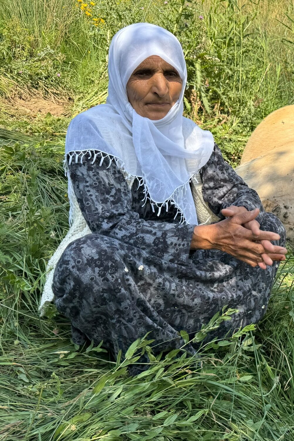 HAKKARİ (AA) – Hakkari'nin Yüksekova ilçesinde merada otlayan ineğinin tepeden