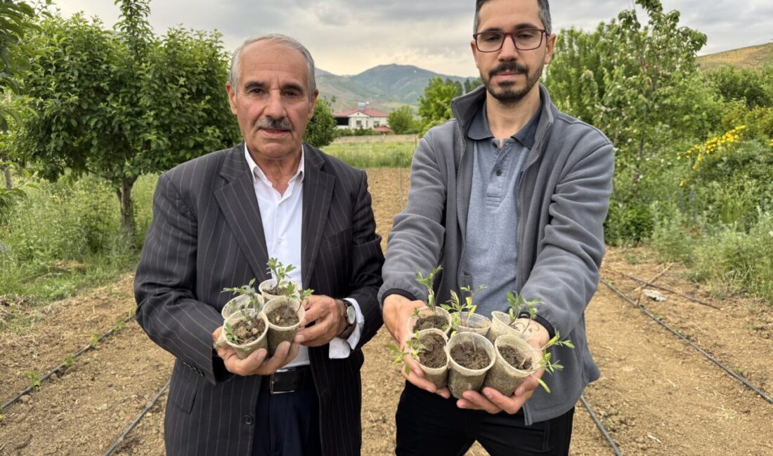 HAKKARİ (AA) – Hakkari'nin Yüksekova ilçesinde yaşayan Tahir Şen, 32