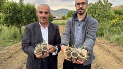 HAKKARİ (AA) – Hakkari'nin Yüksekova ilçesinde yaşayan Tahir Şen, 32