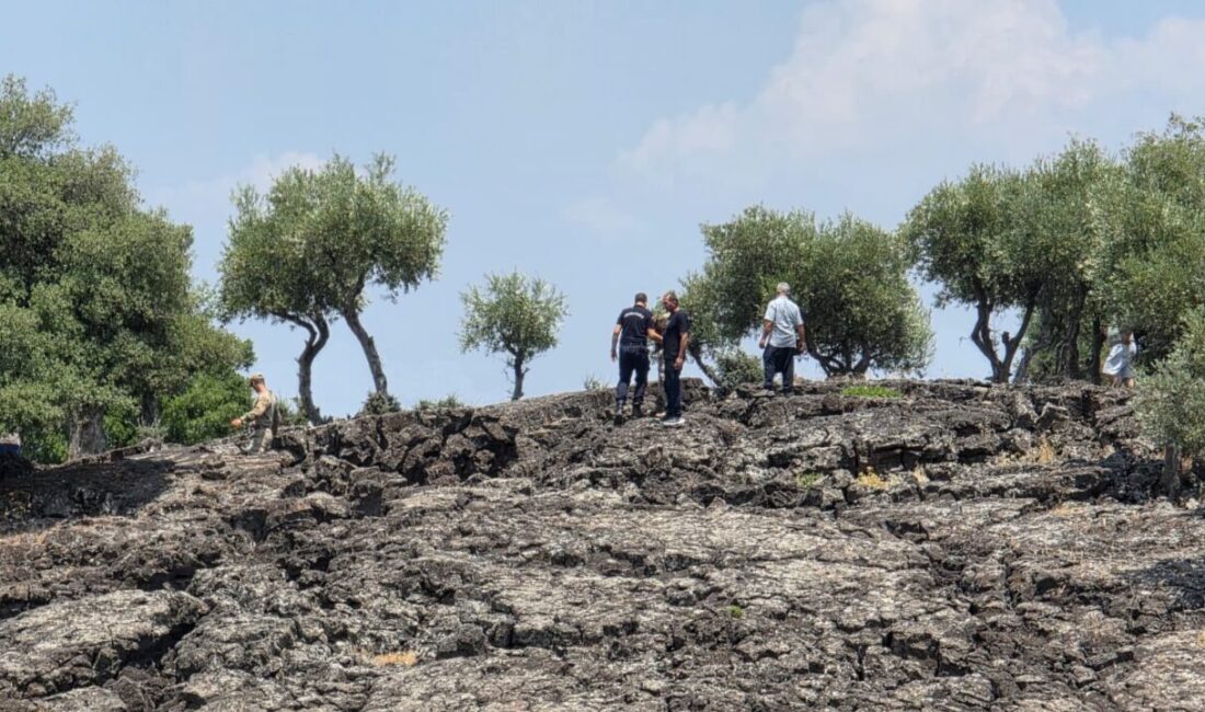 HATAY (AA) – Hatay'ın Hassa ilçesinde, bir süredir haber alınamayan