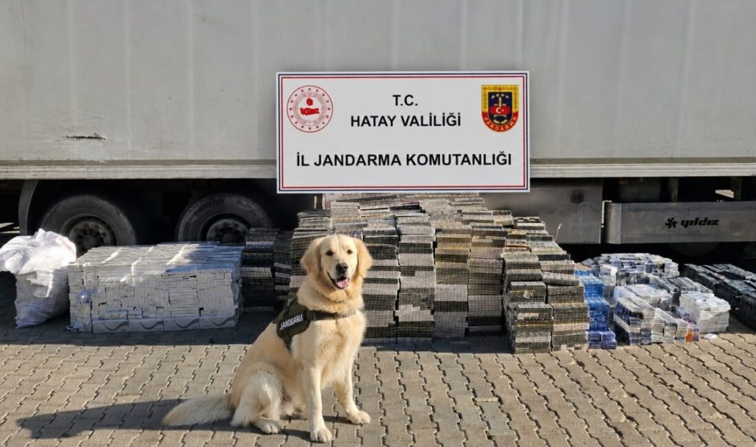 HATAY (AA) – Hatay'ın Kırıkhan ilçesinde 30 bin paket kaçak