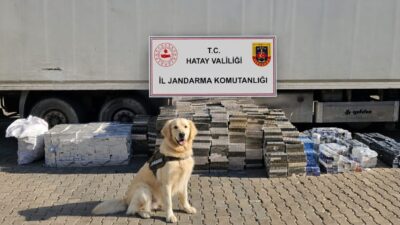 HATAY (AA) – Hatay'ın Kırıkhan ilçesinde 30 bin paket kaçak
