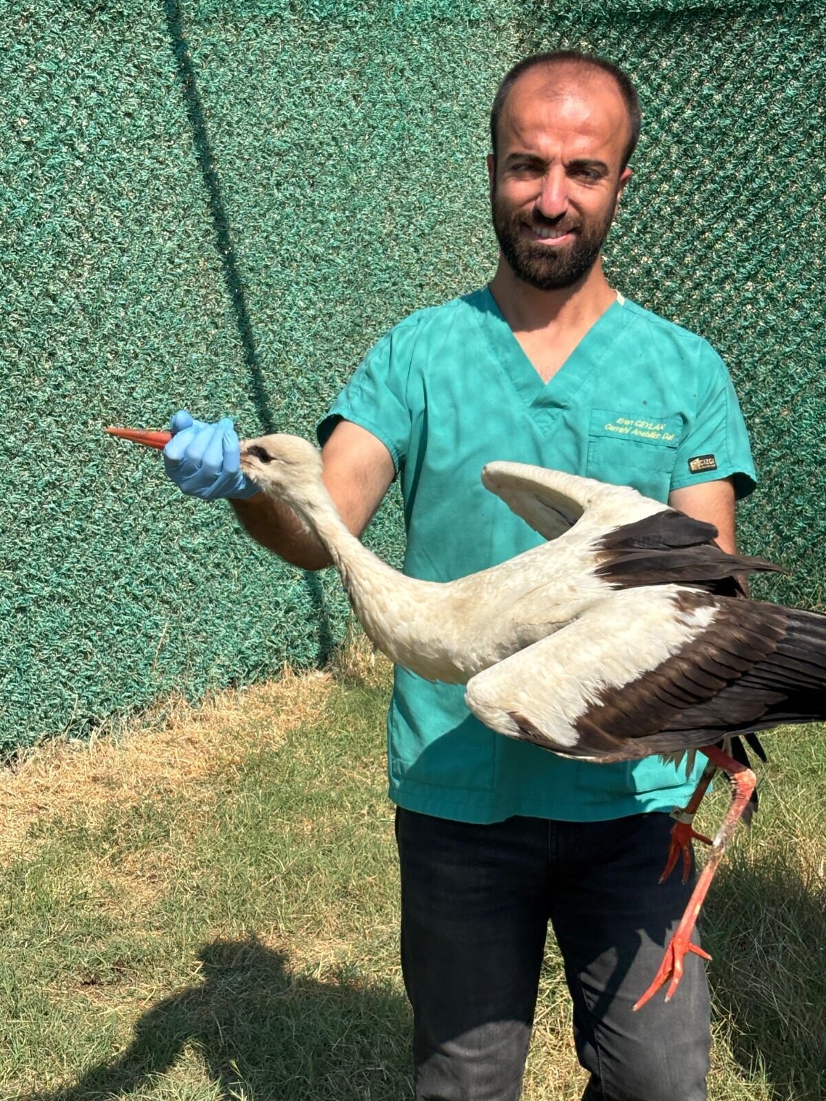 HATAY (AA) – Hatay'da yaralı ve bitkin halde bulunan 18