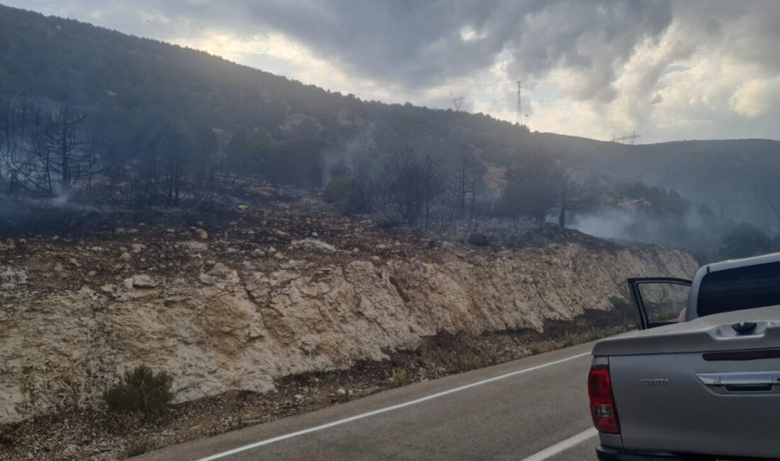 ISPARTA (AA) – Isparta'nın Eğirdir ilçesinde çıkan orman yangını söndürüldü.