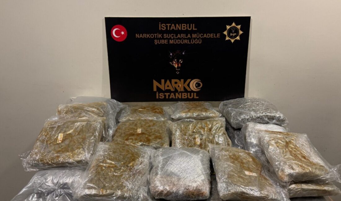 İSTANBUL (AA) – İstanbul'da, 45 kilo 488 gram uyuşturucunun ele