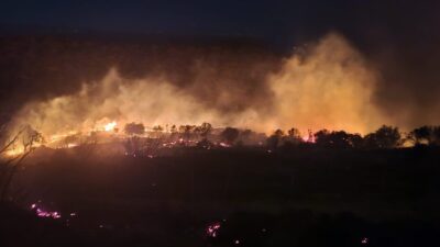 İZMİR (AA) – İzmir'in Dikili ilçesinde makilik alanda çıkan yangına