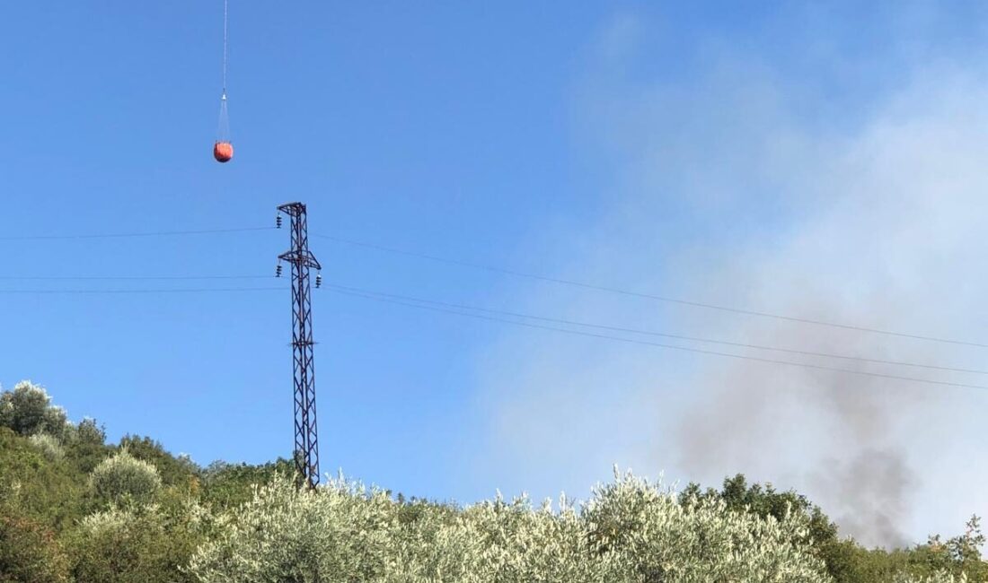 İZMİR (AA) – İzmir'in Kiraz ilçesinde tarım arazisinde çıkan yangın