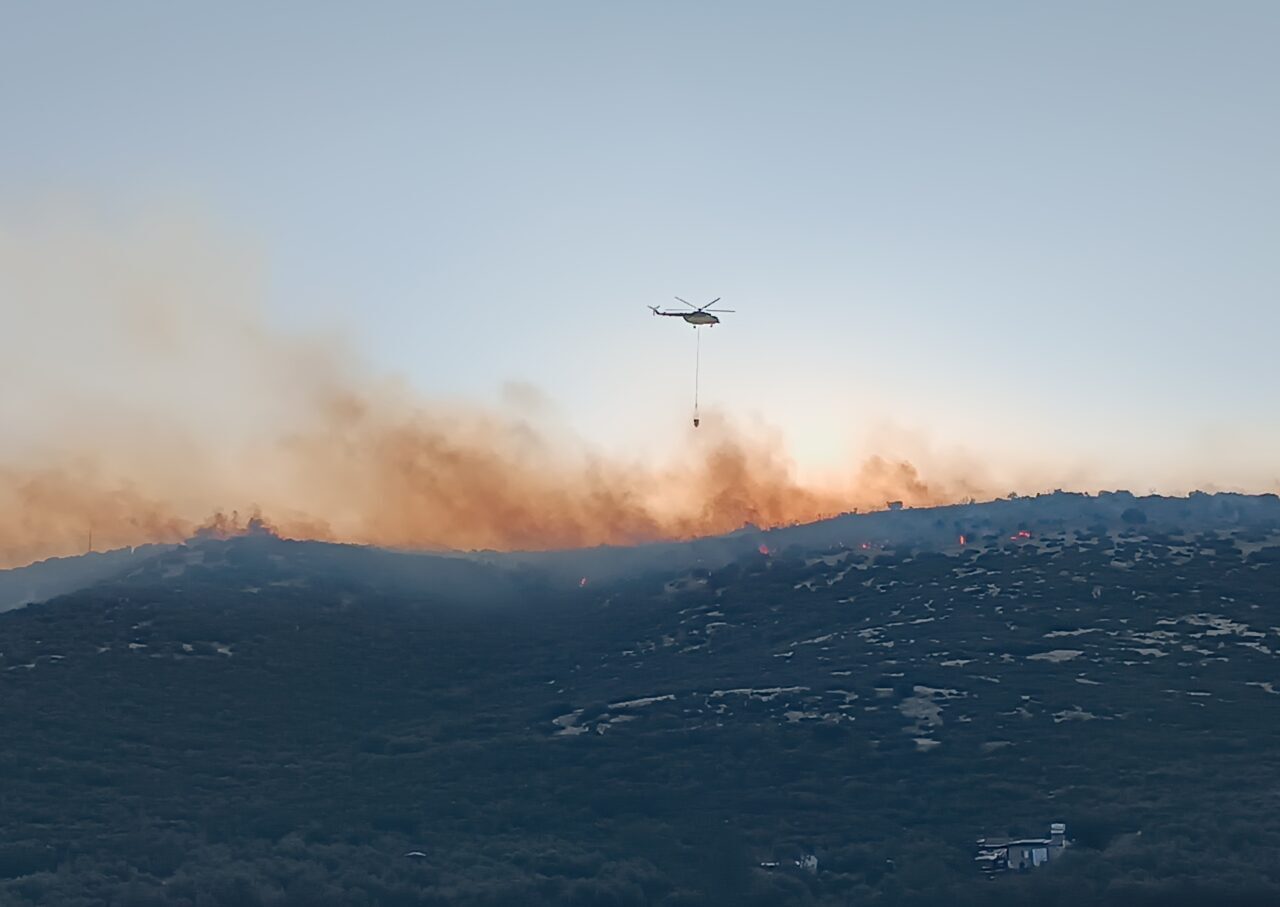 İZMİR (AA) – İzmir'in Torbalı ilçesinde çıkan orman yangınına havadan
