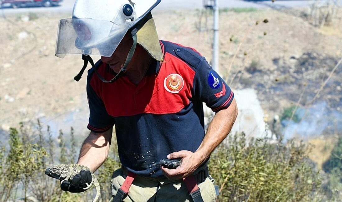 İZMİR (AA) – İzmir'de orman yangınında itfaiye ekiplerince bitkin halde