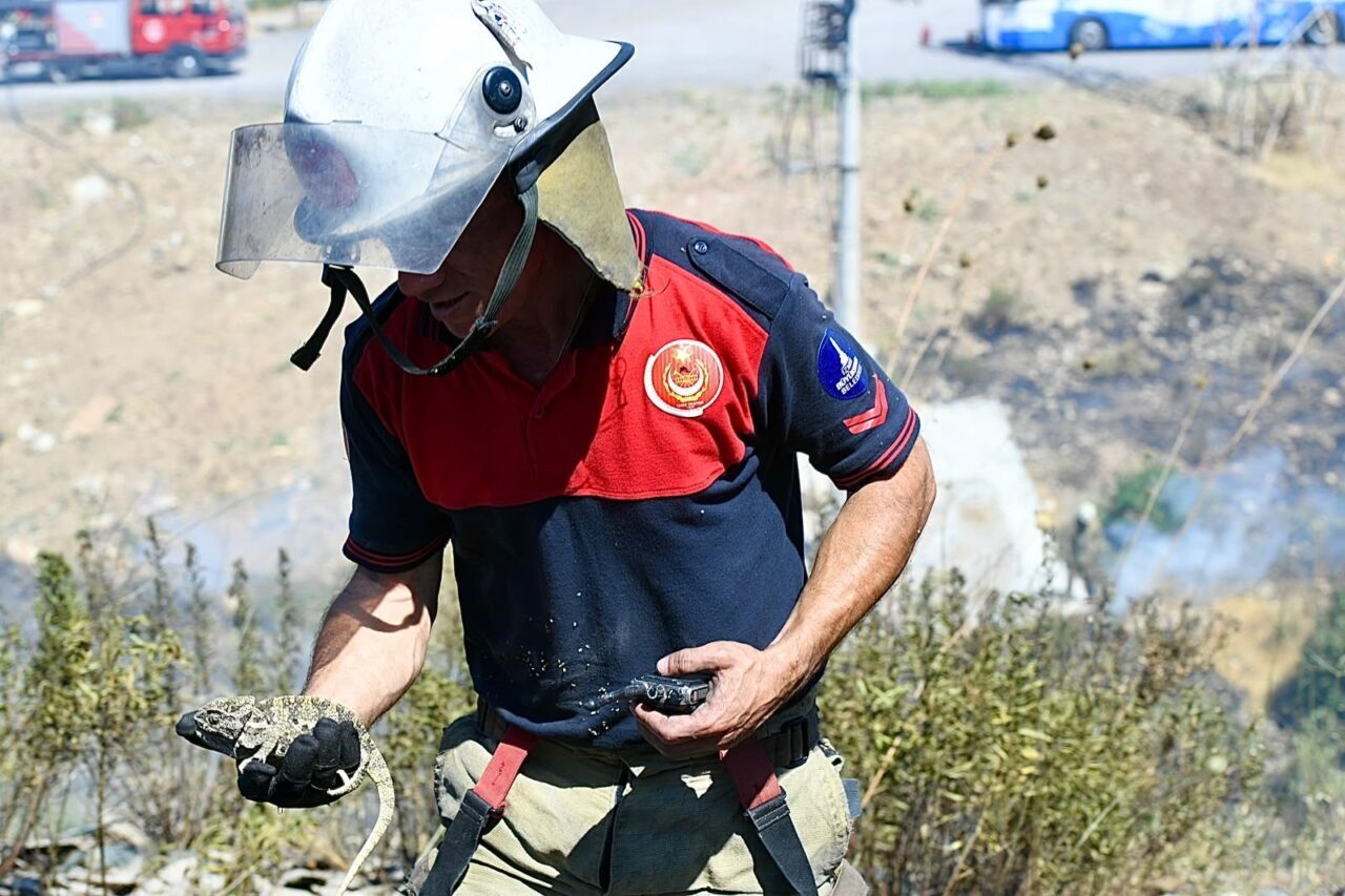 İZMİR (AA) – İzmir'de orman yangınında itfaiye ekiplerince bitkin halde