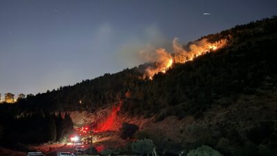 İZMİR (AA) – İzmir'in Bornova ilçesinde çıkan orman yangınına ekiplerin