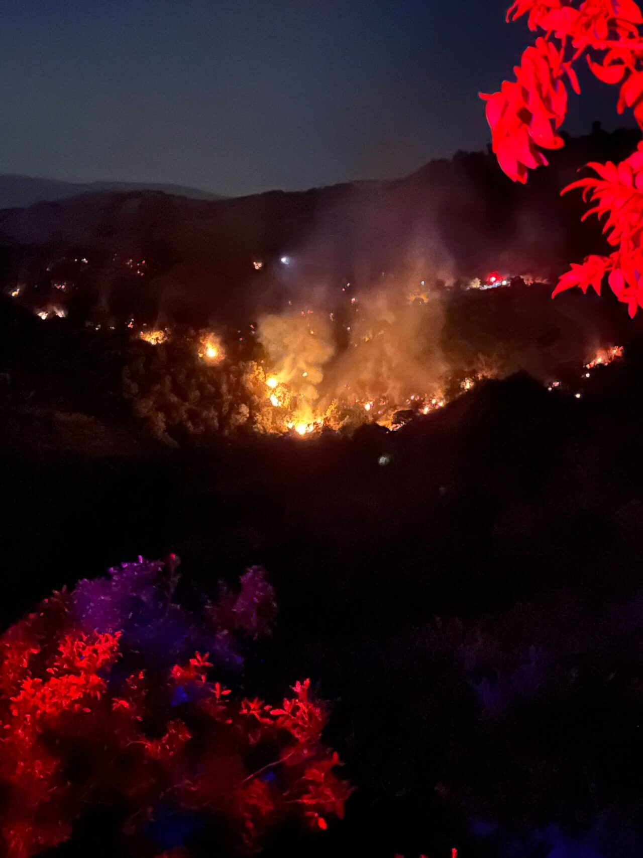 İZMİR (AA) – İzmir'in Ödemiş ilçesinde ormanlık alanda çıkan yangına