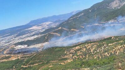 İZMİR (AA) – İzmir'in Buca ilçesinde otluk alandan ormana sıçrayan