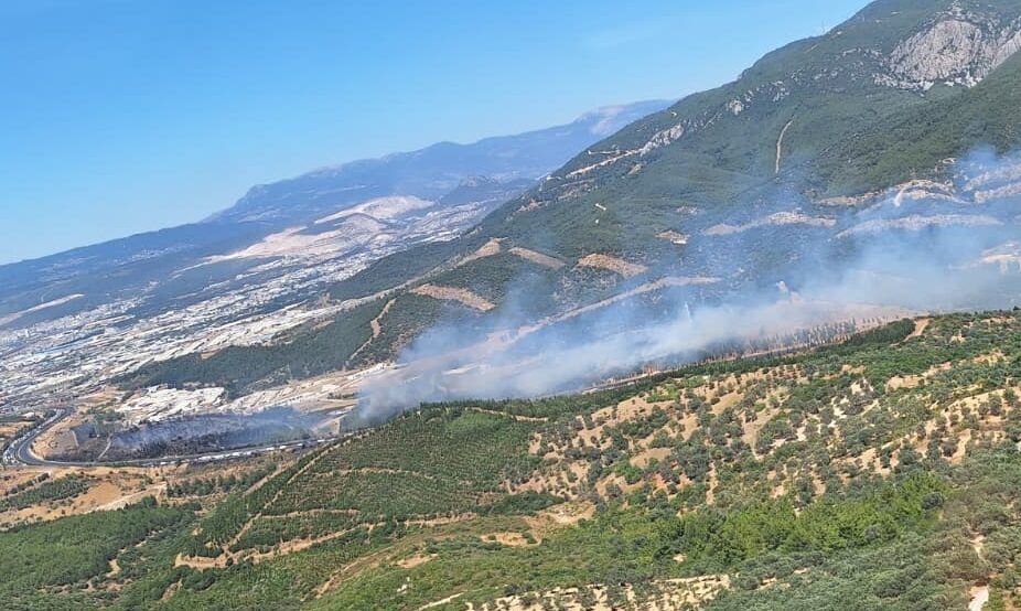 İZMİR (AA) – İzmir'in Buca ilçesinde otluk alandan ormana sıçrayan