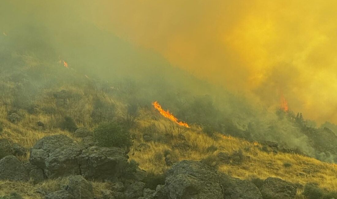 İZMİR (AA) – İzmir'in Menemen ilçesinde otluk alanda çıkan yangına