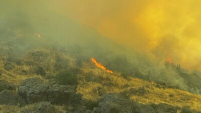 İZMİR (AA) – İzmir'in Menemen ilçesinde otluk alanda çıkan yangına