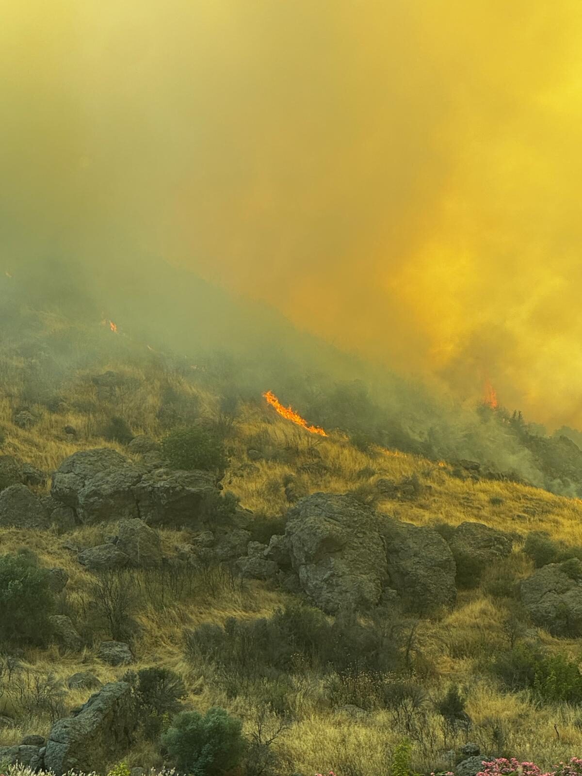 İZMİR (AA) – İzmir'in Menemen ilçesinde otluk alanda çıkan yangına