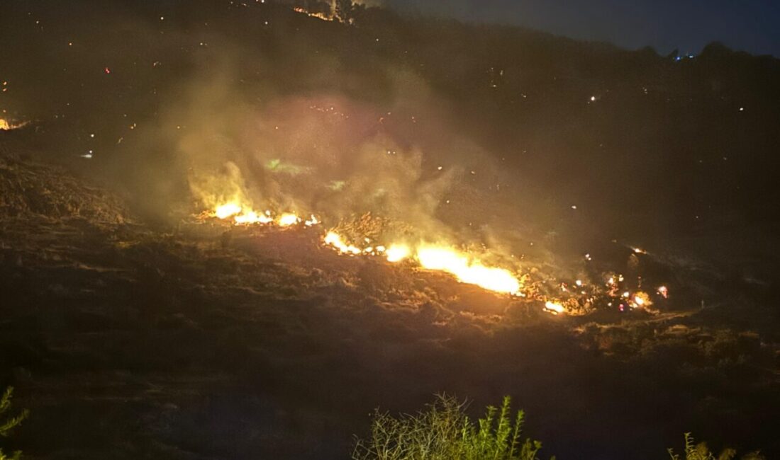 İZMİR (AA) – İzmir'in Çiğli ilçesinde otluk alanda çıkan yangına