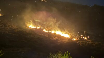 İZMİR (AA) – İzmir'in Çiğli ilçesinde otluk alanda çıkan yangına