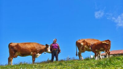 GÜMÜŞHANE (AA) – Gümüşhane-Trabzon sınırındaki 1800 rakımlı Kadırga Yaylası, doğaseverlere
