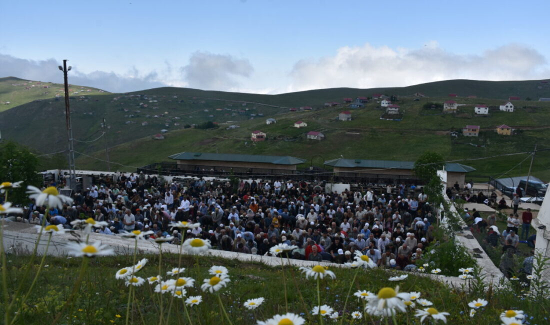 GÜMÜŞHANE (AA) – Gümüşhane-Trabzon sınırındaki 1800 rakımlı Kadırga Yaylası'ndaki üstü