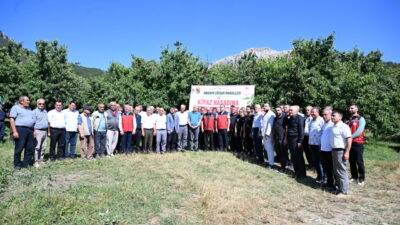 KAHRAMANMARAŞ (AA) – Kahramanmaraş'ın Andırın ilçesinde yetiştirilen Çığşar kirazı için