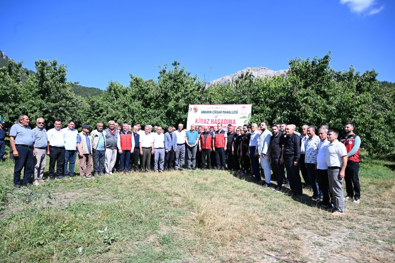 KAHRAMANMARAŞ (AA) – Kahramanmaraş'ın Andırın ilçesinde yetiştirilen Çığşar kirazı için