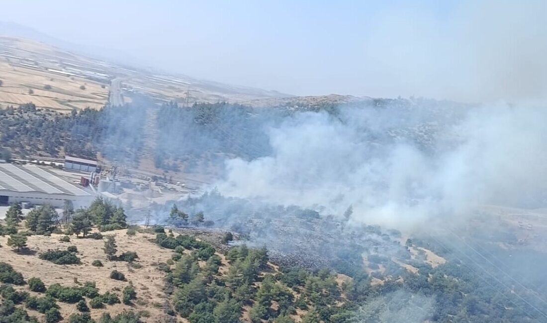 KAHRAMANMARAŞ (AA) – Kahramanmaraş'ın Türkoğlu ilçesinde çıkan orman yangını ekiplerin