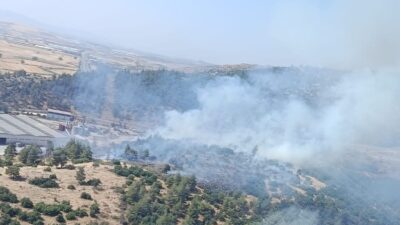 KAHRAMANMARAŞ (AA) – Kahramanmaraş'ın Türkoğlu ilçesinde çıkan orman yangını ekiplerin
