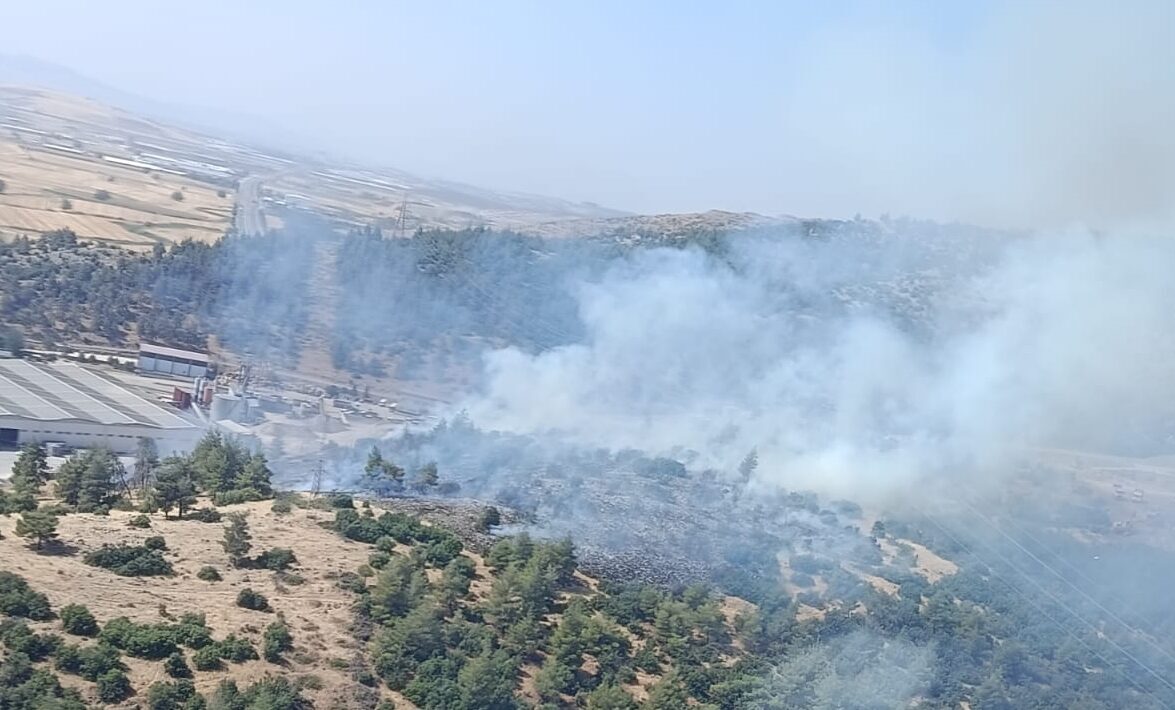 KAHRAMANMARAŞ (AA) – Kahramanmaraş'ın Türkoğlu ilçesinde çıkan orman yangını ekiplerin