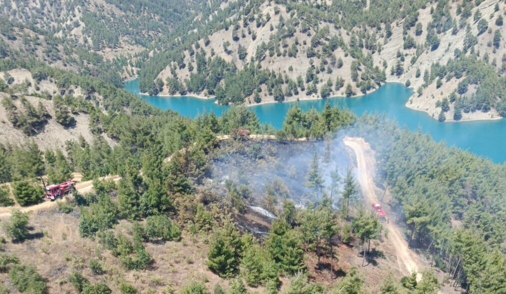 KAHRAMANMARAŞ (AA) – Kahramanmaraş'ın Onikişubat ilçesinde çıkan orman yangını, ekiplerin