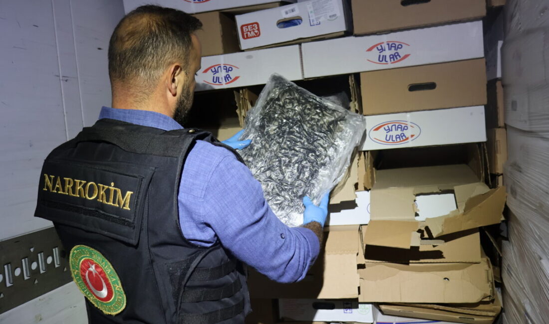 EDİRNE (AA) – Kapıkule Sınır Kapısı’nda bir tırda 526 kilo