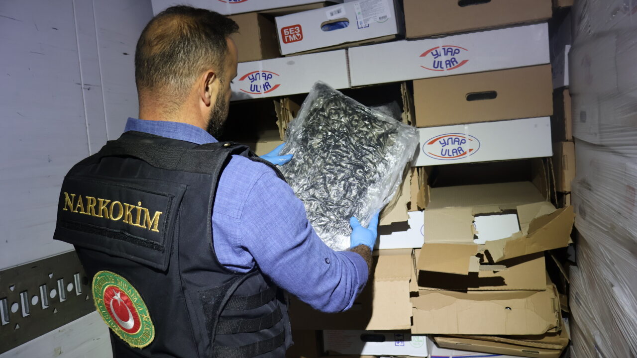 EDİRNE (AA) – Kapıkule Sınır Kapısı’nda bir tırda 526 kilo
