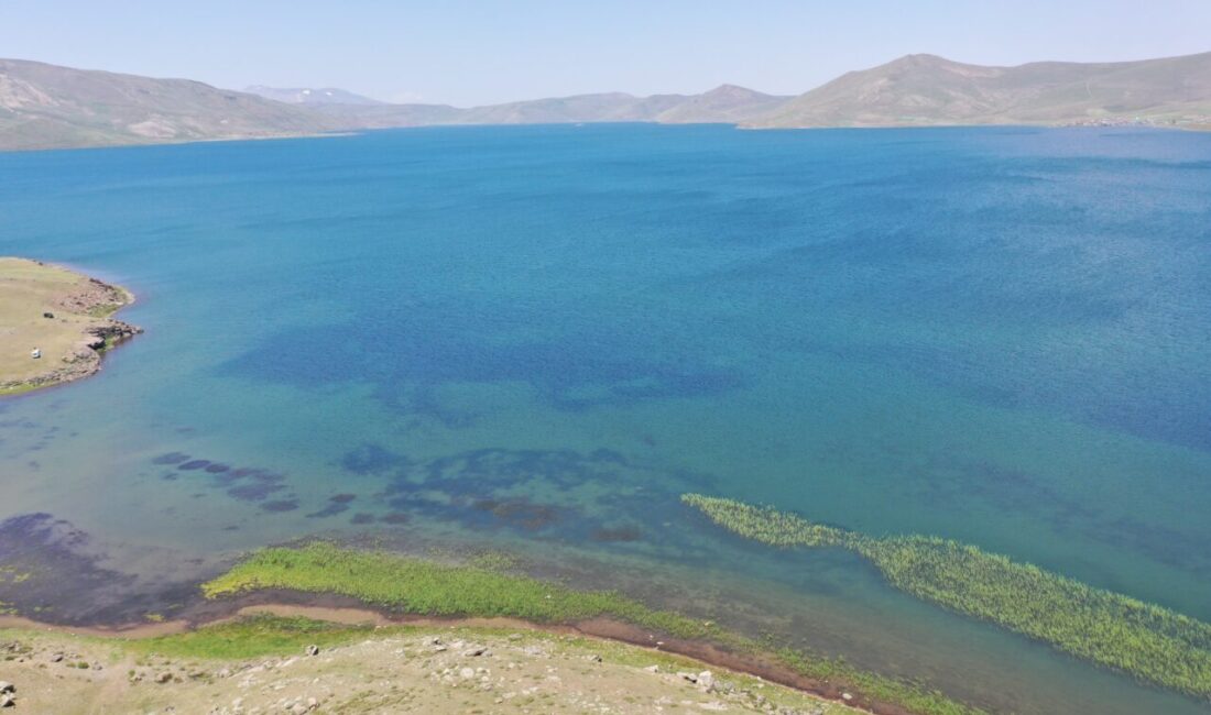 AĞRI (AA) – Ağrı'nın Taşlıçay ilçesindeki karın geç eridiği yüksek