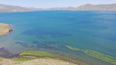 AĞRI (AA) – Ağrı'nın Taşlıçay ilçesindeki karın geç eridiği yüksek