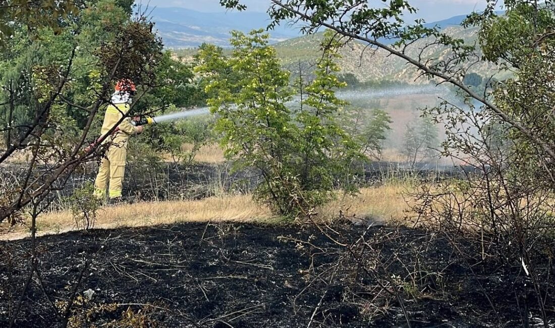 KASTAMONU (AA) – Kastamonu'nun Tosya ilçesinde çıkan anız yangını ormanlık