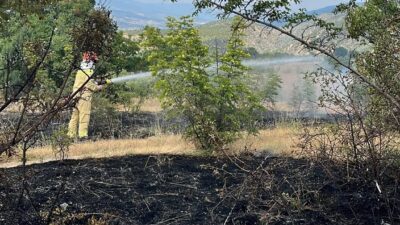 KASTAMONU (AA) – Kastamonu'nun Tosya ilçesinde çıkan anız yangını ormanlık
