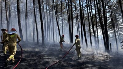KASTAMONU (AA) – Kastamonu'nun Daday ve Araç ilçeleri sınırında çıkan