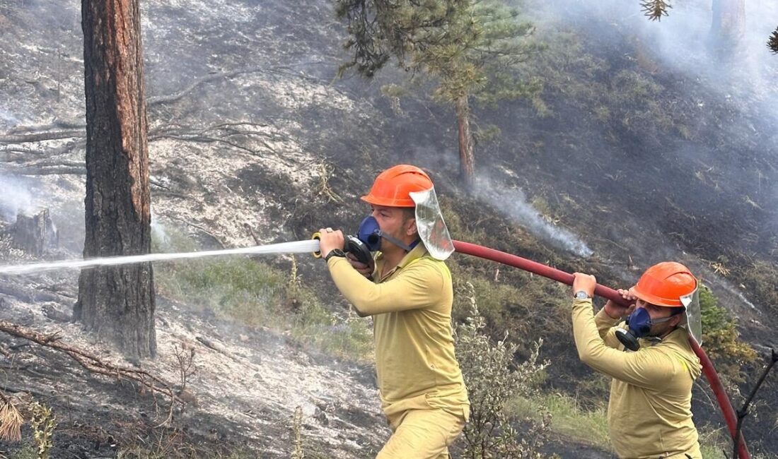 KASTAMONU (AA) – Kastamonu'nun Tosya ilçesinde çıkan orman yangını söndürüldü.