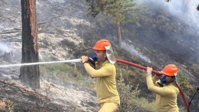 KASTAMONU (AA) – Kastamonu'nun Tosya ilçesinde çıkan orman yangını söndürüldü.